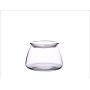 HOUSIYU Glass Jar, Tinted Transparent Glass Food Moisture-Proof Sealed Storage Tank, Suitable for Coffee Bean Tea Dried Fruit Grain, Transparent 500ml