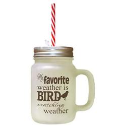 Brown My Favorite Weather Bird Watching Weather Frosted Glass Mason Jar With Straw