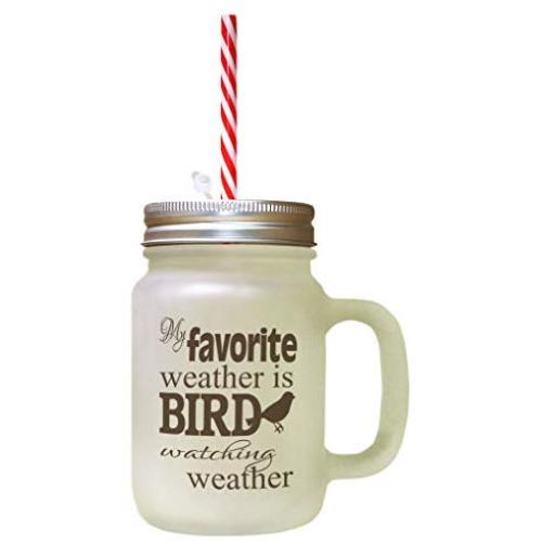 Brown My Favorite Weather Bird Watching Weather Frosted Glass Mason Jar With Straw