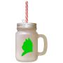 Green American Shorthair Cat Head Silhouette Frosted Glass Mason Jar With Straw