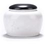 Chinese Style Small Jar Kitchen Canisters For Food Storage Tea Tank Pot Household Storage Bottle Porcelain Tea Cans Spices Caddy,heigaitiandaochouqin