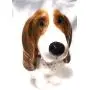 Pot en céramique pour biscuits et friandises pour Beagle Hound Basset - Récipient à biscuits pour chien Pot en céramique pour biscuits et friandises pour Beagle Hound Basset - Récipient à biscuits pour chien