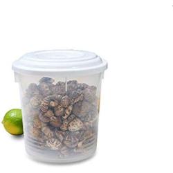 Kitchen Food Storage Tank Storage Jar Multigrain Storage Tank With Lid Plastic Material Suitable For Kitchen Refrigerator