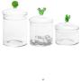 Set 3 Glass Cactus Top Southwestern Decor Kitchen Bathroom Canister Storage Jars