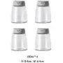Glas Geschmacksbeutelbehälter Set, 4-teiliges Lagerbehälter für Gewürze mit perforierter Deckel - Siebdeckel