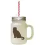 Brown Scotish Fold Cat Silhouette Frosted Glass Mason Jar With Straw