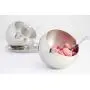 OneUp Kitchen Sugar Bowl Set with Lid Spoon and Tray for Tea and Coffee Stainless Steel Storage Container Condiment Pot Vintage Candy Jar OneUp Kitchen Sugar Bowl Set with Lid Spoon and Tray for Tea and Coffee Stainless Steel Storage Container Condiment Pot Vintage Candy Jar