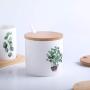 Porcelain Canisters，Set of 3 Spice Jar with Airtight Bamboo Lid,Kitchen Seasoning Jar (Plant 01)