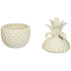 IMAX 53116 Bala Lidded Pineapple Shaped Ceramic Container ? Food Safe Fun Lidded Canister, Handcrafted Food Jar. Kitchenware Essentials