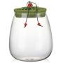 Clear Glass Candy Jar with Lid - Wide Mouth Preserving Jar Cookie Ball Container Tea Storage Canisters Food Storage Container (600 ML/20.3 OZ,Green)