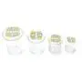Bouteilles de Rangement en Verre, Sûres Alimentation | Motifs Celtiques | Plusieurs Tailles et Designs | Étanches, Anti-Odeurs (Celt Circle, Grande) Bouteilles de Rangement en Verre, Sûres Alimentation | Motifs Celtiques | Plusieurs Tailles et Designs | Étanches, Anti-Odeurs (Celt Circle, Grande)