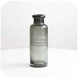 Scandinavian Gray Glass Storage Jar Nordic Chic Dry Flower Brown Bottle European Minimalist Desk Decoration Organizer Vase,4