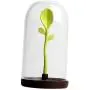 Flameer Kitchen Food Storage Bins with Airtight Lid and Green Bud Spoon, Cookie Containers Candy Canes for Storing Cookies, Delicious Snacks, Coffee Tea Sugar