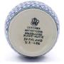 Polish Pottery 4?-inch Jar with Lid made by Ceramika Artystyczna (Water Tulip Theme) + Certificate of Authenticity
