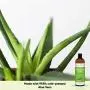 Gel d'Aloe Vera (8 oz) - Gel Apaisant Ultra Hydratant à Presse Froide pour le Visage et le Corps - Idéal pour les Soins Après-Soleil - Fabriqué aux États-Unis Gel d'Aloe Vera (8 oz) - Gel Apaisant Ultra Hydratant à Presse Froide pour le Visage et le Corps - Idéal pour les Soins Après-Soleil - Fabriqué aux États-Unis