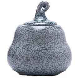 Phoenix Wonder Tea Container/Snack Pot Tea Coffee Storage Jar,Tea Caddy Chinese Porcelain