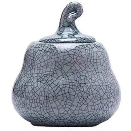 Phoenix Wonder Tea Container/Snack Pot Tea Coffee Storage Jar,Tea Caddy Chinese Porcelain