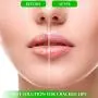Moisturizing Green Tea Matcha Sleeping Lip Mask Balm, Younger Looking Lips Overnight, Best Solution For Chapped And Cracked Lips, Unique Lip Gloss Formula And Power Benefits Of Green Tea (Matcha) Moisturizing Green Tea Matcha Sleeping Lip Mask Balm, Younger Looking Lips Overnight, Best Solution For Chapped And Cracked Lips, Unique Lip Gloss Formula And Power Benefits Of Green Tea (Matcha)