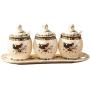 Mini Spice Jars European ceramic seasoning jar three-piece suit combination creative kitchen supplies