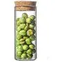 WANGLX ST Food Storage Tank Good Sealing Heat-Resistant Borosilicate Glass Sealed Cans Dried Fruit Sealed Bottle Wooden Lid Storage Jar, A WANGLX ST Food Storage Tank Good Sealing Heat-Resistant Borosilicate Glass Sealed Cans Dried Fruit Sealed Bottle Wooden Lid Storage Jar, A