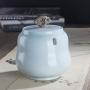 Chinese Ceramic Tea Caddy Candy Coffee Jar Canister Tea Cans,F
