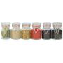 Apollo Glass Spice Jar, Set of 6