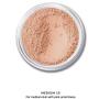 Bare Escentuals Bareminerals Original Foundation Broad Spectrum Spf 15-Medium (10), 0.28 Ounce