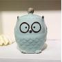 Kitchen Ceramic Owl Canister Food Storage Jar Antique Chic Kitchen Counter Canister for coffee cookies sugar flour tea bags cocoa,Owl Lover Gift, Housewarming/wedding/mothers day Xmas gift