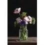 Bormioli Rocco Quattro Stagioni 50 3/4 Ounce Konservierungsglas, Set von 6