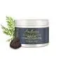 Shea Moisture Jojoba Oil & Ucuuba Butter Braid Condition Gel With Carrot Seed Oil, 12 Ounces Shea Moisture Jojoba Oil & Ucuuba Butter Braid Condition Gel With Carrot Seed Oil, 12 Ounces