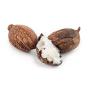 Ivory African Shea Butter Premium Pure Raw 8 oz Premium NON GMO