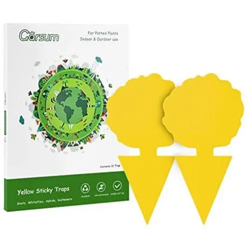 Garsum Fruit Fly Trap Yellow Sticky Fungus Gnat Killer for Indoor and Outdoor Plant Insect Catcher for White Flies,Mosquitos,Fungus Gnats,Flying Insects,12 pcs Garsum Fruit Fly Trap Yellow Sticky Fungus Gnat Killer for Indoor and Outdoor Plant Insect Catcher for White Flies,Mosquitos,Fungus Gnats,Flying Insects,12 pcs