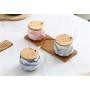 Mini Spice Jars Marbled ceramic seasoning jar home kitchen three-piece