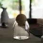 Creative Kitchen Transparent Storage Bottles For Bulk Products Jars With Lid Spices Sugar Tea Coffee Container Organizer Cans,T S