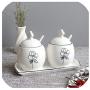 Nordic Ceramic Seasoning Jar Kitchen Supplies Storage Tank Household 2 Piece Set Combination Oil Salt Cans Sugar Cans for Gift,EE(WITH TRAY)