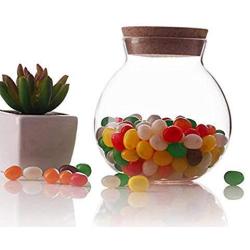 500 Ml (17 Fl Oz) Round Clear Glass Favor Jar Food Storage Container with Cork Lid Perfect for Cookie Candy Spice Tea Cereal Storage