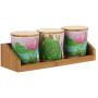 THUN Set of 3 Spice Jars Fresh Water Line Spice 300 ml H 9.5 cm Bamboo Paste Wood Stand 28 x 10.5 cm, Multicoloured