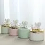 Bouteilles et Pots de Rangement | Pots Céramiques Multicolores pour Bijoux, Boîte à Bijoux, Boucles d'Oreilles, Colliers, Accessoires de Rangement, Réservoir Cerclé, Ange en Céramique, Sucre, Cadeau | par HUDITOOLS | 1 Pièce Bouteilles et Pots de Rangement | Pots Céramiques Multicolores pour Bijoux, Boîte à Bijoux, Boucles d'Oreilles, Colliers, Accessoires de Rangement, Réservoir Cerclé, Ange en Céramique, Sucre, Cadeau | par HUDITOOLS | 1 Pièce