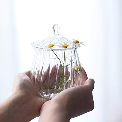 Goquik Transparent Heat-resistant Glass Tea Can Coffee Pot Storage Bottle Candy Jar Snack Cans With Lid (Size : 6.5cm9cm)