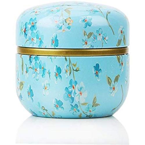 HUANGMENG Tea Caddies HOOMIN Tea Box Tea Jar Storage Holder Tea Caddies Matcha Container Mini Coffee Powder Organizer Cans Multifunction Round Metal, Color:Shallow wind HUANGMENG