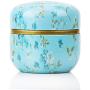 HUANGMENG Tea Caddies HOOMIN Tea Box Tea Jar Storage Holder Tea Caddies Matcha Container Mini Coffee Powder Organizer Cans Multifunction Round Metal, Color:Shallow wind HUANGMENG