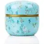 WEIHONG Teehkisten Hoomin Tee-Box Tee-Jar Lagerungshalter Tee-Kisten Matcha-Behälter Mini-Kaffee-Pulver-Organizer-Dosen Multifunktionale Runde Metall, Farbe: Flaches Wind