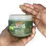 Huile d'olive Palmers Gro Therapy pour Cheveux et Cuir Chevelu Sains, 286 ml (Pack de 2) Huile d'olive Palmers Gro Therapy pour Cheveux et Cuir Chevelu Sains, 286 ml (Pack de 2)