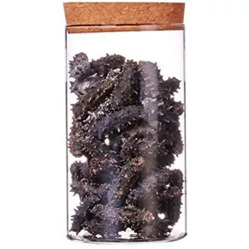 WANGLX ST Sealed Jar Food Storage Container Storage Tank Durable Cereal Storage Cans Dry Foods Liquids Kitchen Storage Box Wood Cover WANGLX ST Sealed Jar Food Storage Container Storage Tank Durable Cereal Storage Cans Dry Foods Liquids Kitchen Storage Box Wood Cover