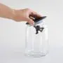 Alessi AMDR05 B""Gianni" Glass Box, Black Alessi AMDR05 B""Gianni" Glass Box, Black