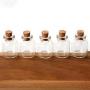 5Pcs/Lot Cork Stopper Small Glass Bottle Tiny Glass Jars With Cork Decorative Wish Glass Jars Vials For Decoration 22X28Mm,Clear