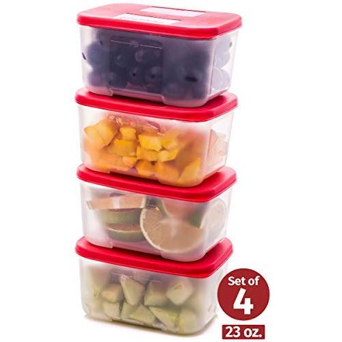 Quicker Defrost- Reusable Freezer Containers with Lids Set of 4-23.5 oz. for Soups, Leftovers, Meal Prep, Food Storage Airtight Food Storage Containers With Lids Plastic Freezer Containers Jars