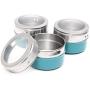 Xiaolanwelc@ 12PCS Magnetic Spice Tin Jars Stainless Steel Seasoning Sauce Storage Container Clear Lid Kitchen Condiment Holder Kitchenware (Blue)