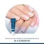 Elon Lanolin-Reich Nagelbehandlung | Stärkt Nägel & Schützt Nagelhaut | Empfohlen von Dermatologen & Podologen (10g Tube)