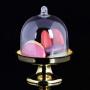 Ochine 12PCS Tray Shape Candy Storage Box Plastic Transparent Living Room Desktop Simple Party Decoration Home Candy Box